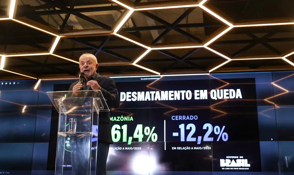 Madeira brasileira tem controle rigoroso