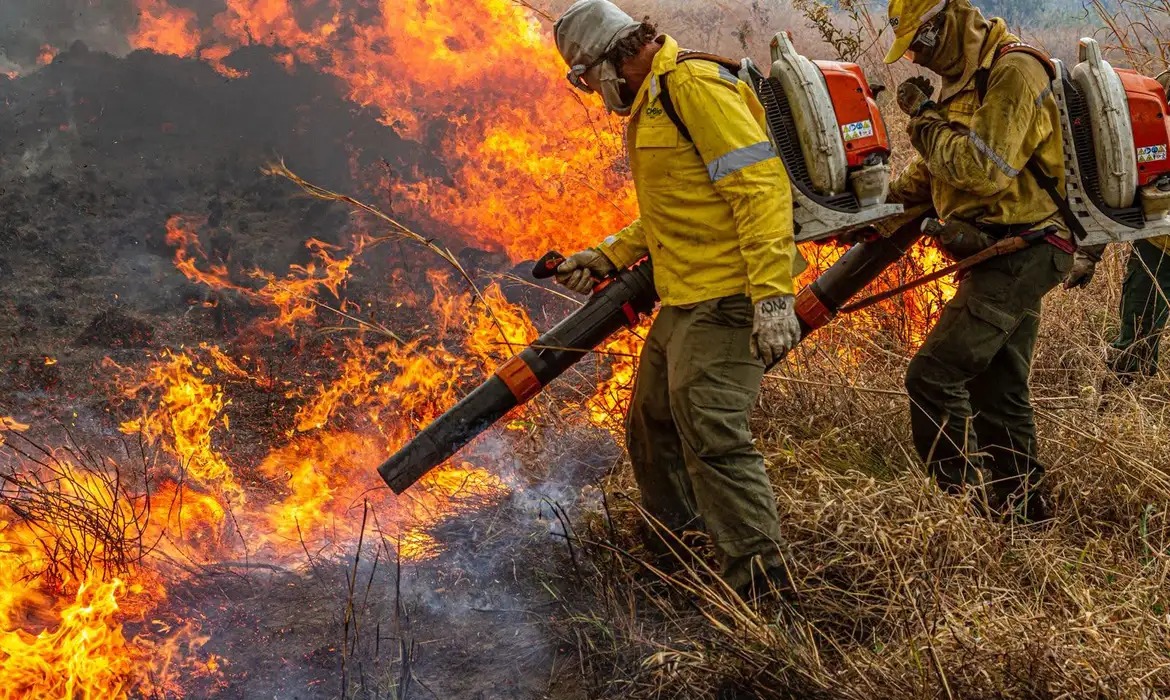 Recursos chegam para conter destruição ambiental