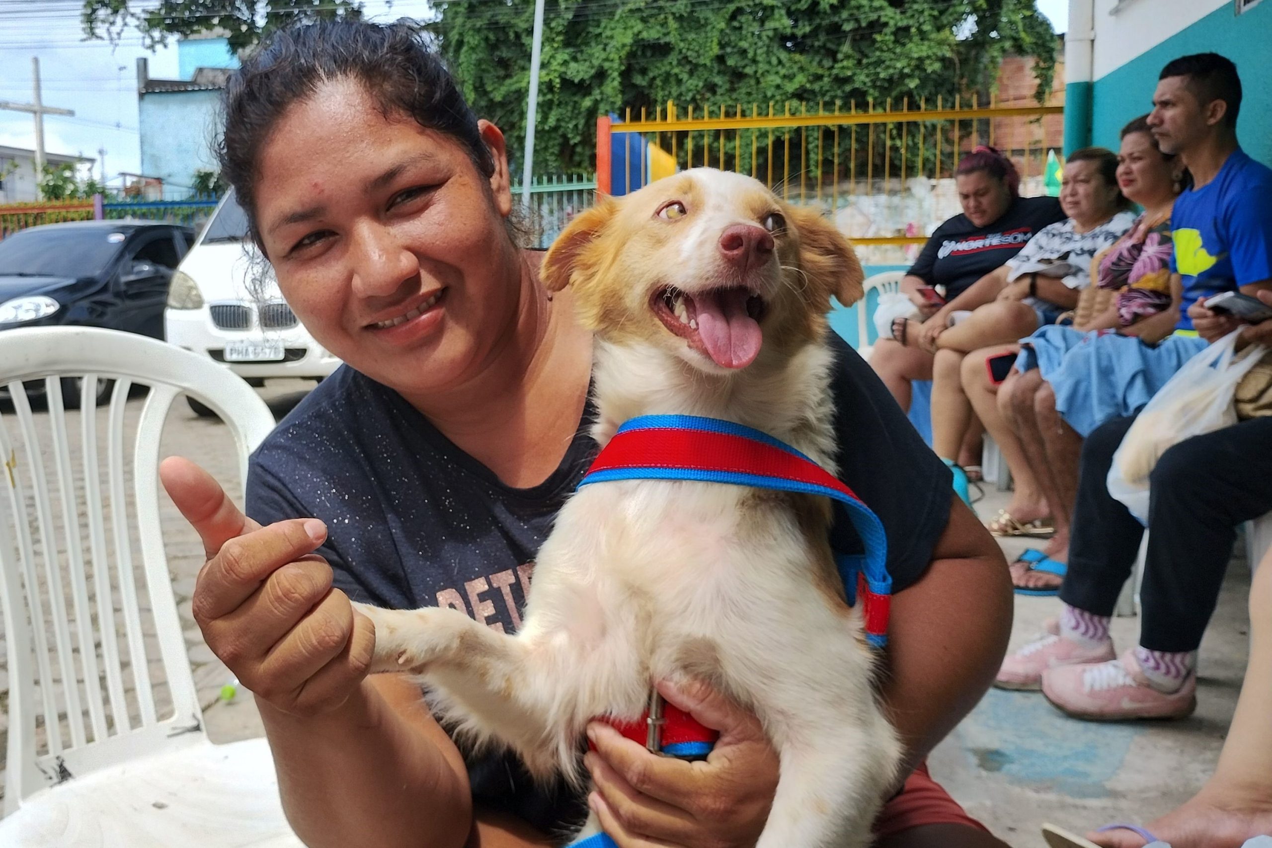 Benefícios da castração de cães e gatos em Manaus
