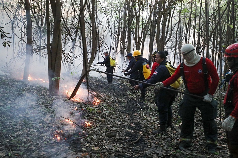Amazonas amplia prevenção climática e combate às queimadas