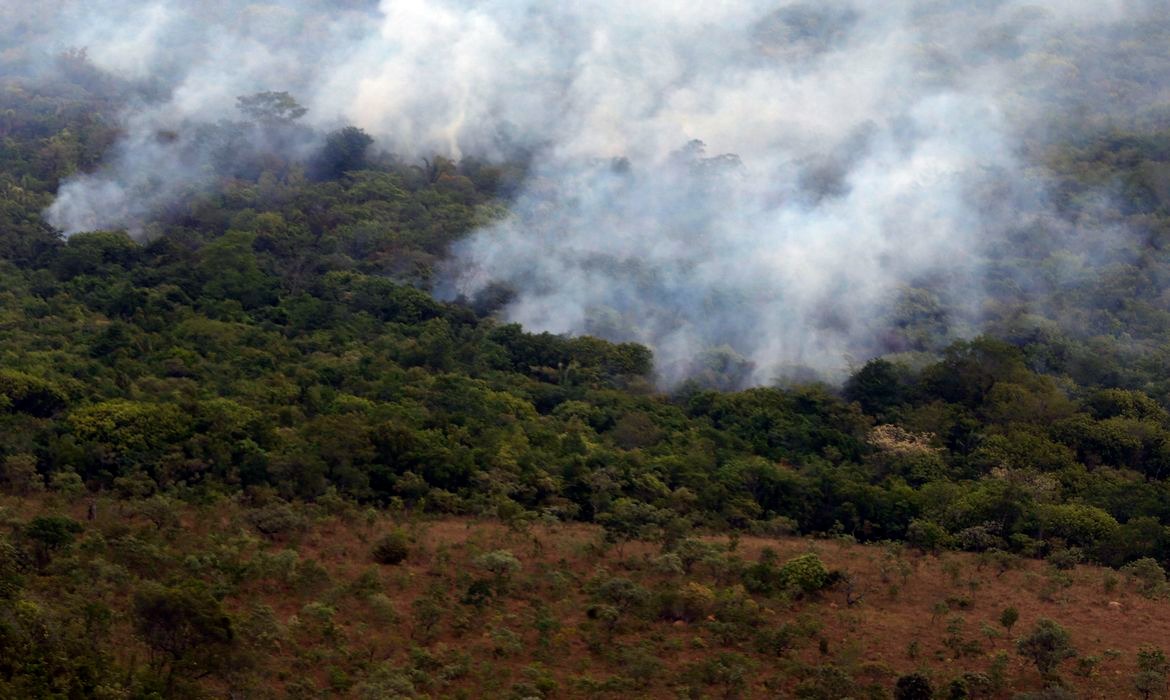 Relatório mostra avanço ambiental histórico