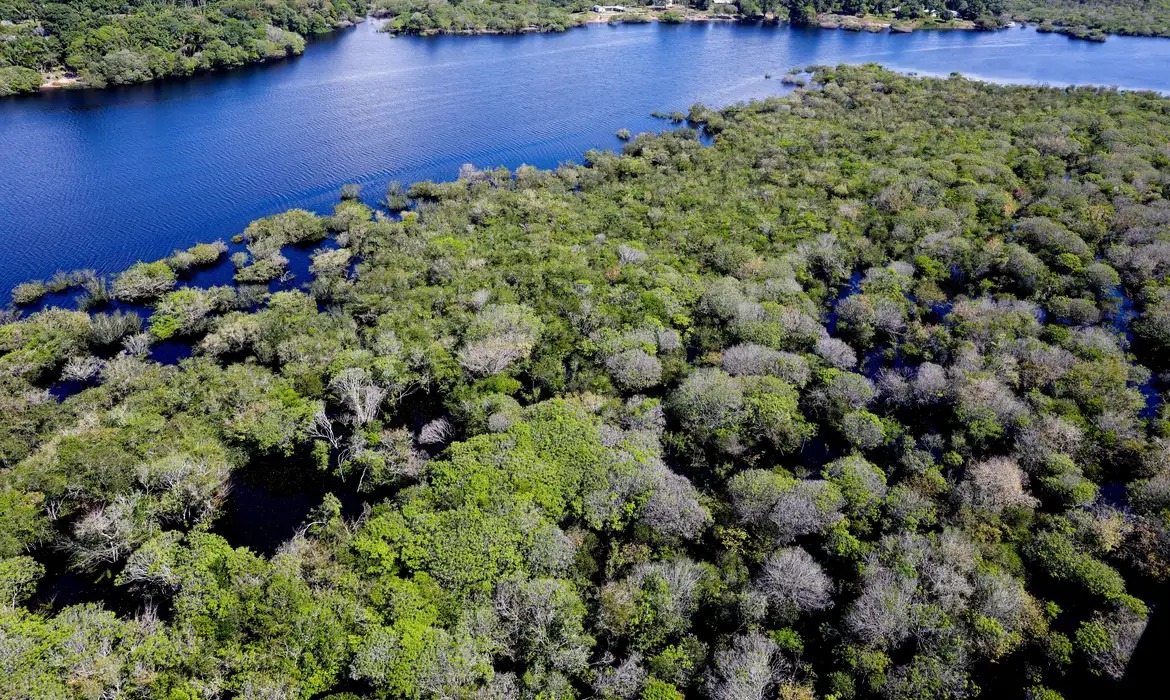 Amazônia apresenta melhora nos indicadores ambientais