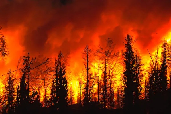 Incêndio na França reforça alerta sobre eventos climáticos extremos Palavra-chave: incêndios e eventos climáticos extremos