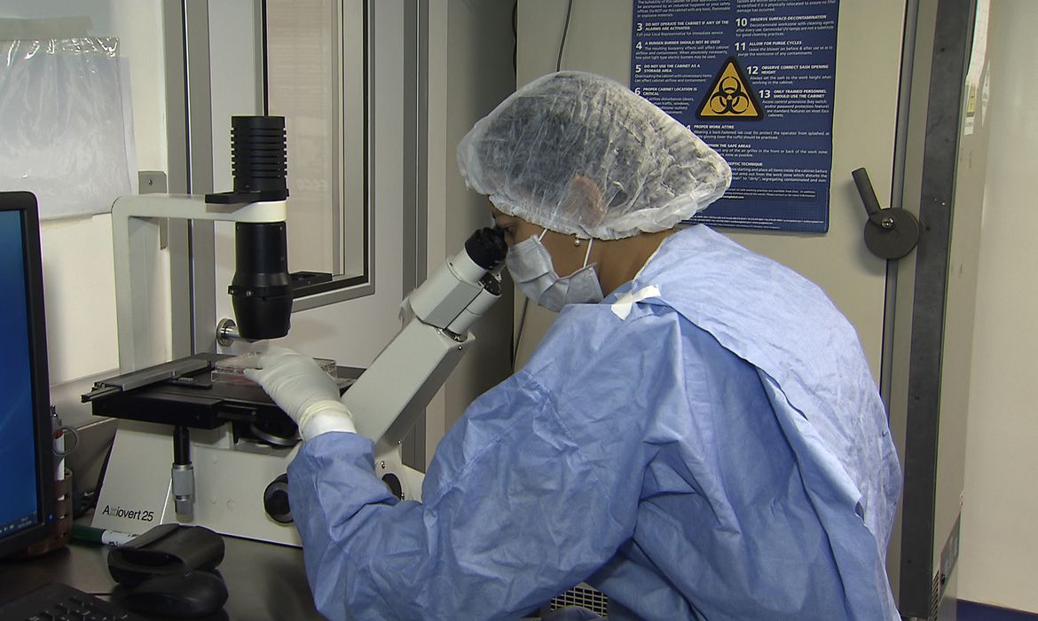 Transplante pode curar o HIV? Entenda os casos