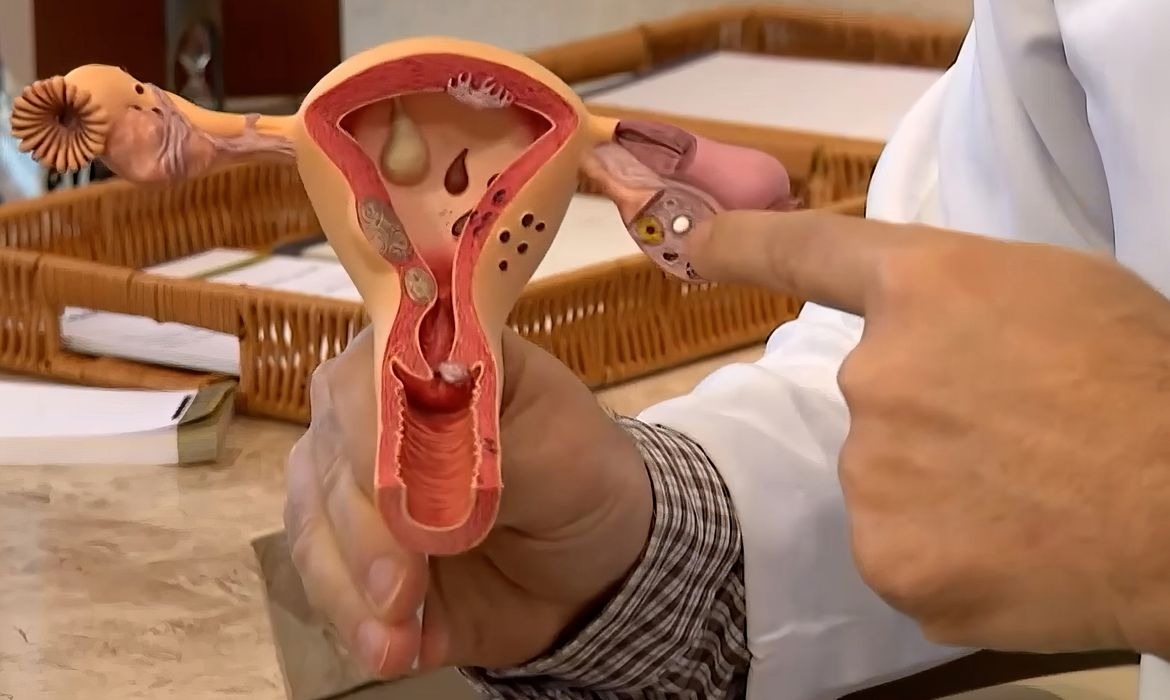 Edital do CNPq fortalece pesquisas sobre saúde menstrual