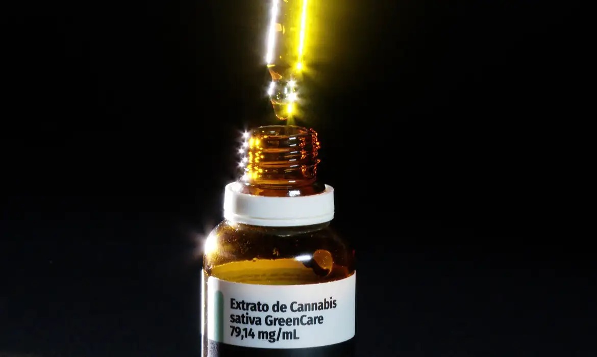 Nova regra da Anvisa para cannabis entra em vigor