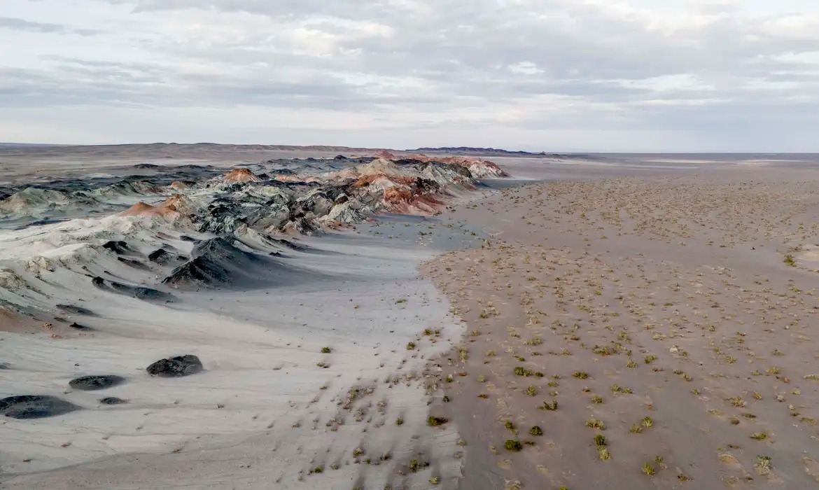Fungos desconhecidos são encontrados no Gobi