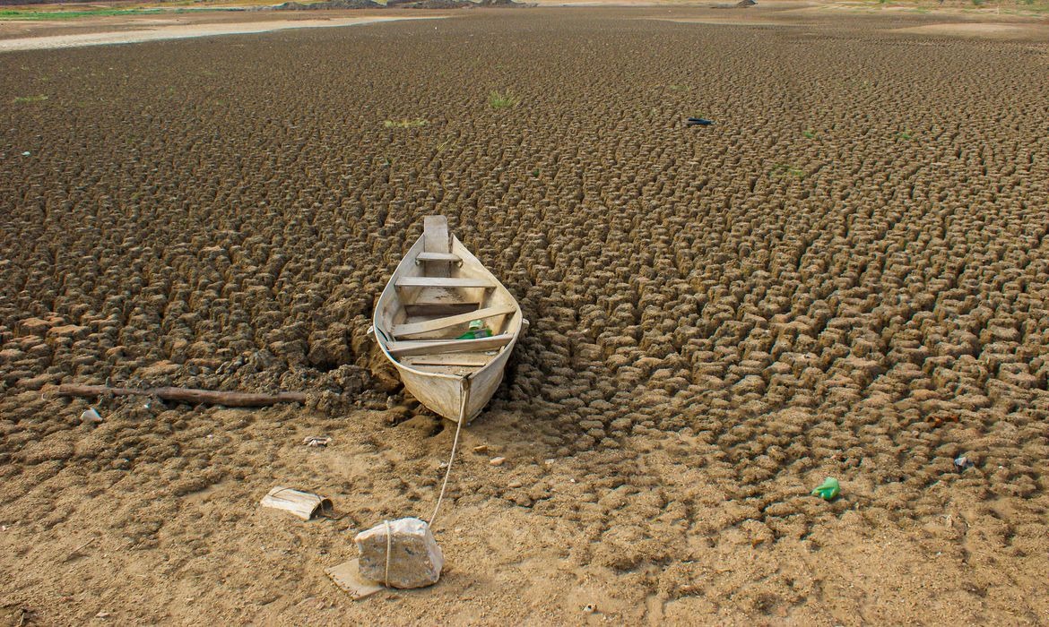 COP17 debate desertificação e recuperação de terras