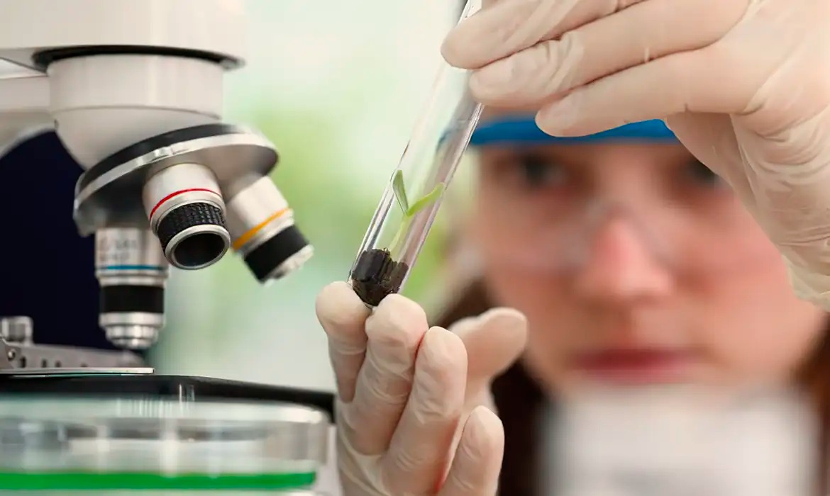 Universitárias concorrem a prêmio de R$ 13 mil